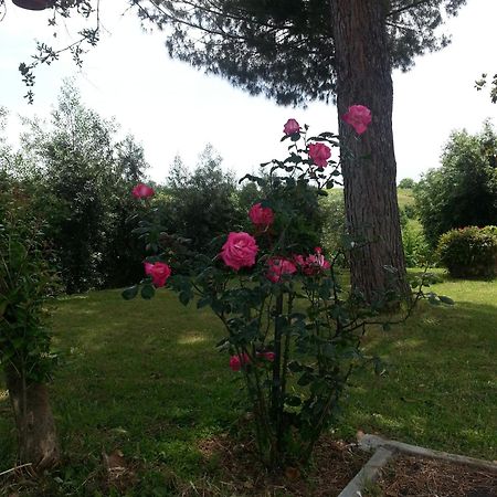 La Finestra Sul Cortile Bed and Breakfast Pomezia Eksteriør billede
