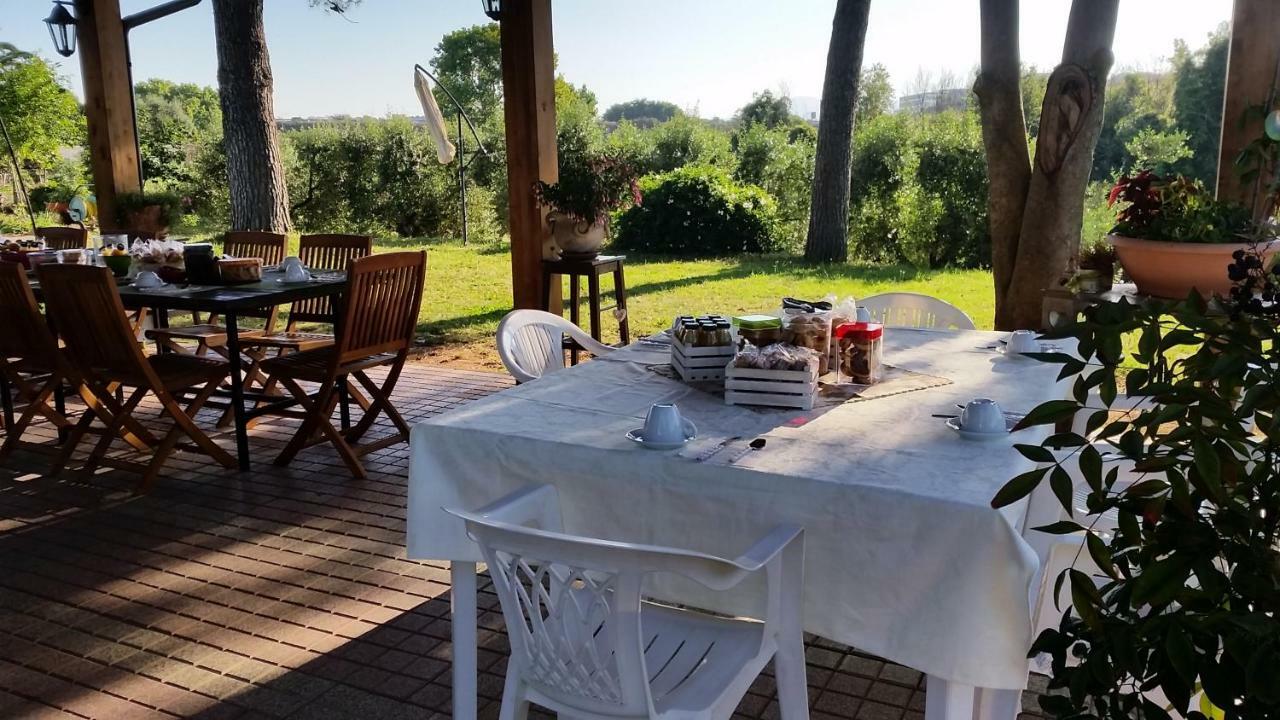 La Finestra Sul Cortile Bed and Breakfast Pomezia Eksteriør billede
